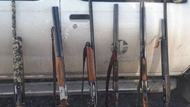 سرشماری نیمه زمستانه پرندگان در تالاب های ماکو