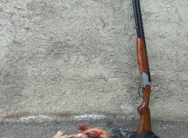 اسلحه شکاری غیرمجاز