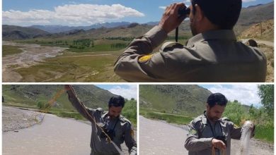 صید غیرمجاز