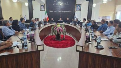 مشکلات واحدهای تولیدی