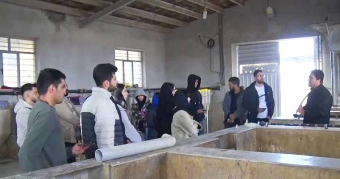 ارتباط صنعت با دانشگاه