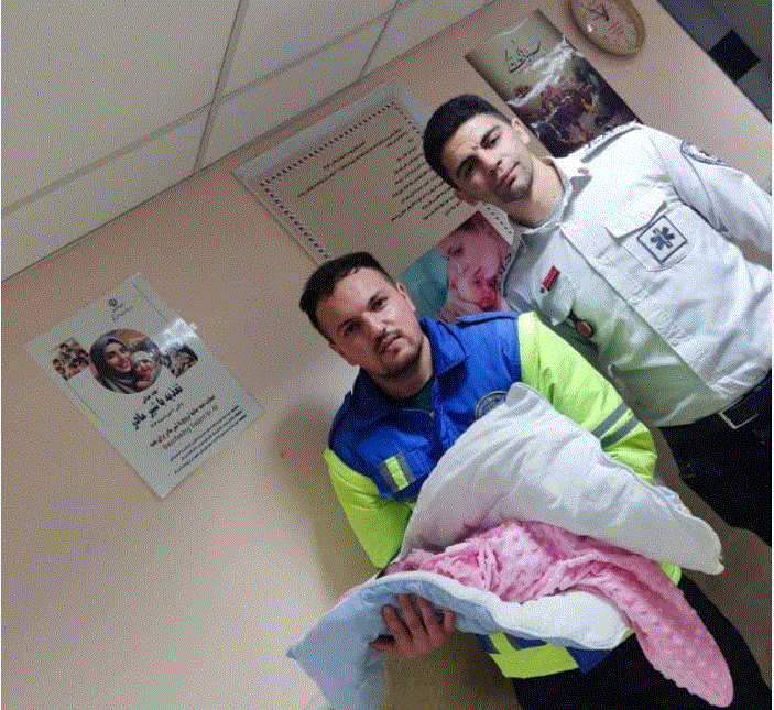 تولد نوزاد عجول ماکویی