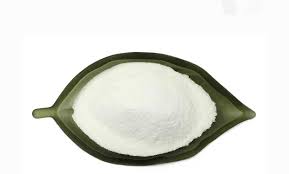 شرکت حمل و نقل