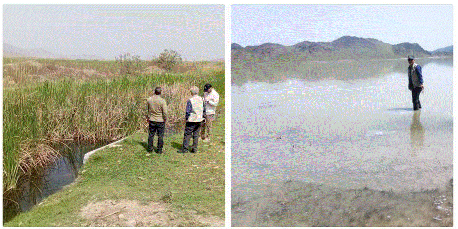 تالاب‌های ماکو