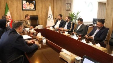 سرمایه‌گذاری