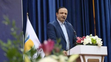 شهرک سرمایه‌گذاری خارجی