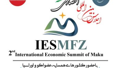 دیپلماسی اقتصادی