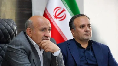 زائران اربعین خارجی